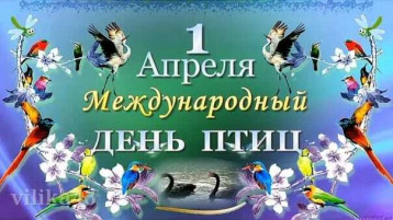 МБДОУ 6 МБДОУ 6.