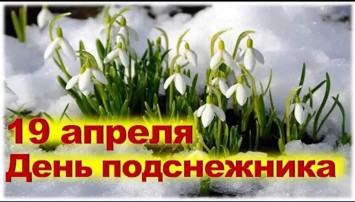 МБДОУ 6 МБДОУ 6.