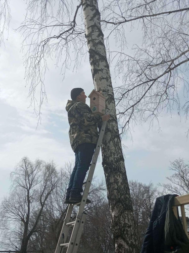 МБДОУ 6 МБДОУ 6.