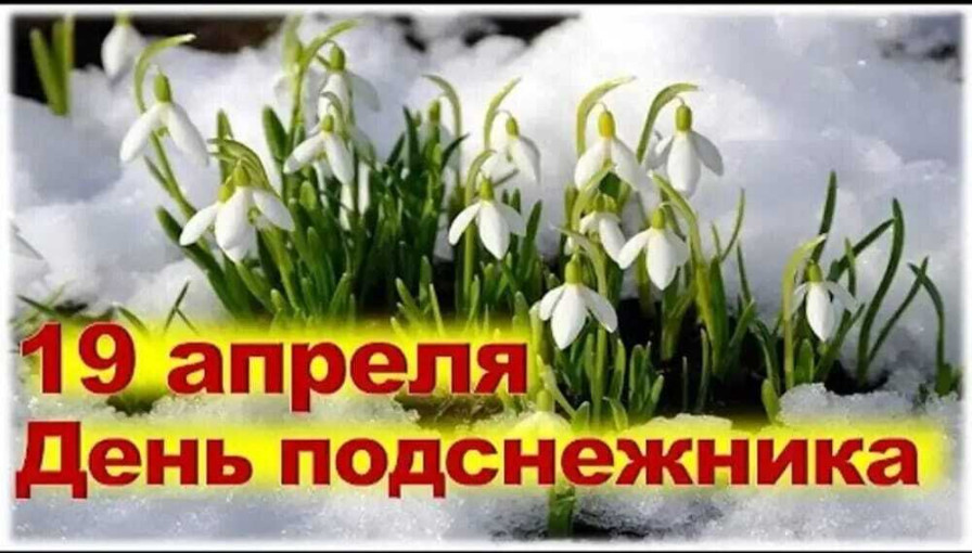 МБДОУ 6 МБДОУ 6.