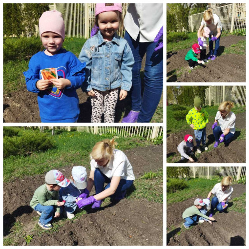 МБДОУ 6 МБДОУ 6.